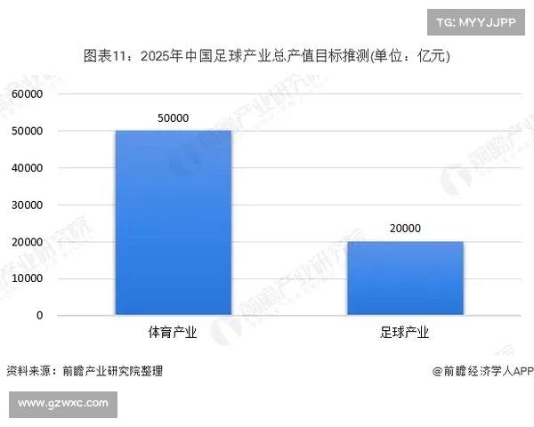 足球球员国际转会市场分析及趋势预测：全球转会动态与影响因素解析