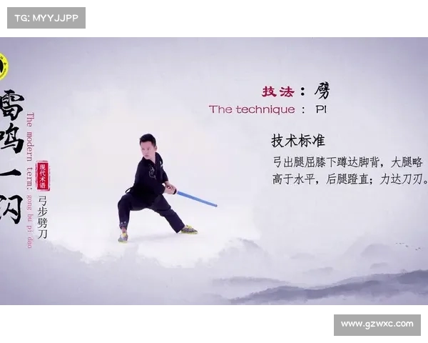 武术兵道文化的传承与发展：探索传统武术在现代社会中的实践与意义