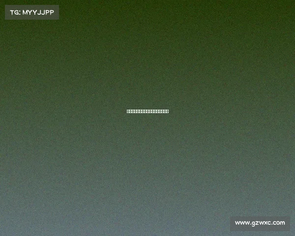 德甲创始队的辉煌历史与发展脉络探究